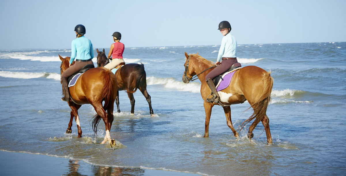 seabrook-1